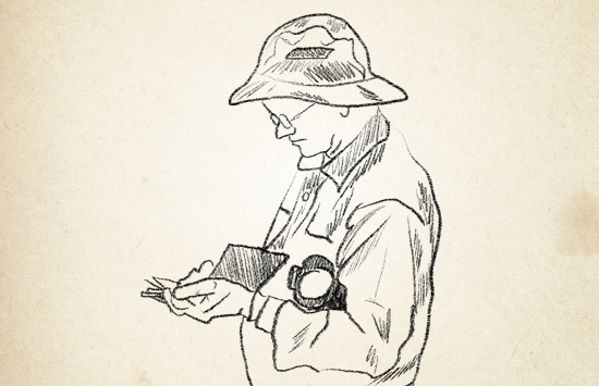 Stephen D. Davis Award