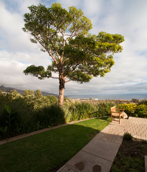 Behind Stauffer Chapel - Pepperdine University 