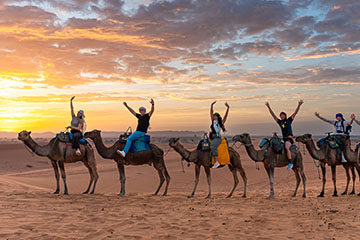 students on camels in desert