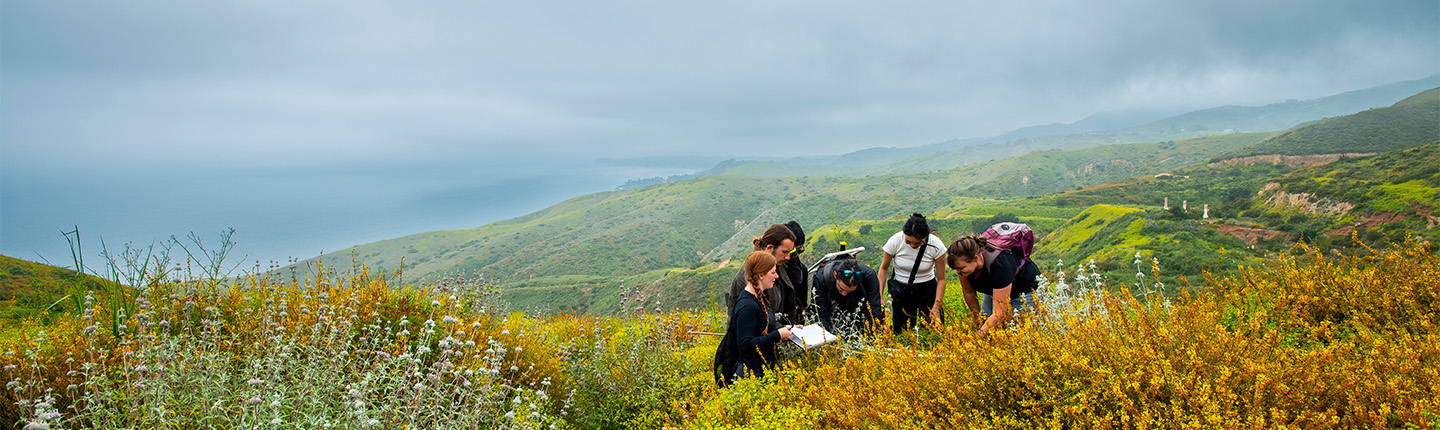 University Research Page