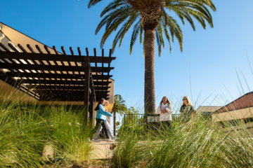 students walking on campus