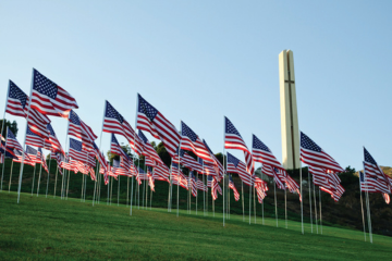 image of the flag display