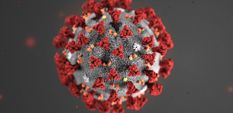 Close up sample of a coronavirus specimen 