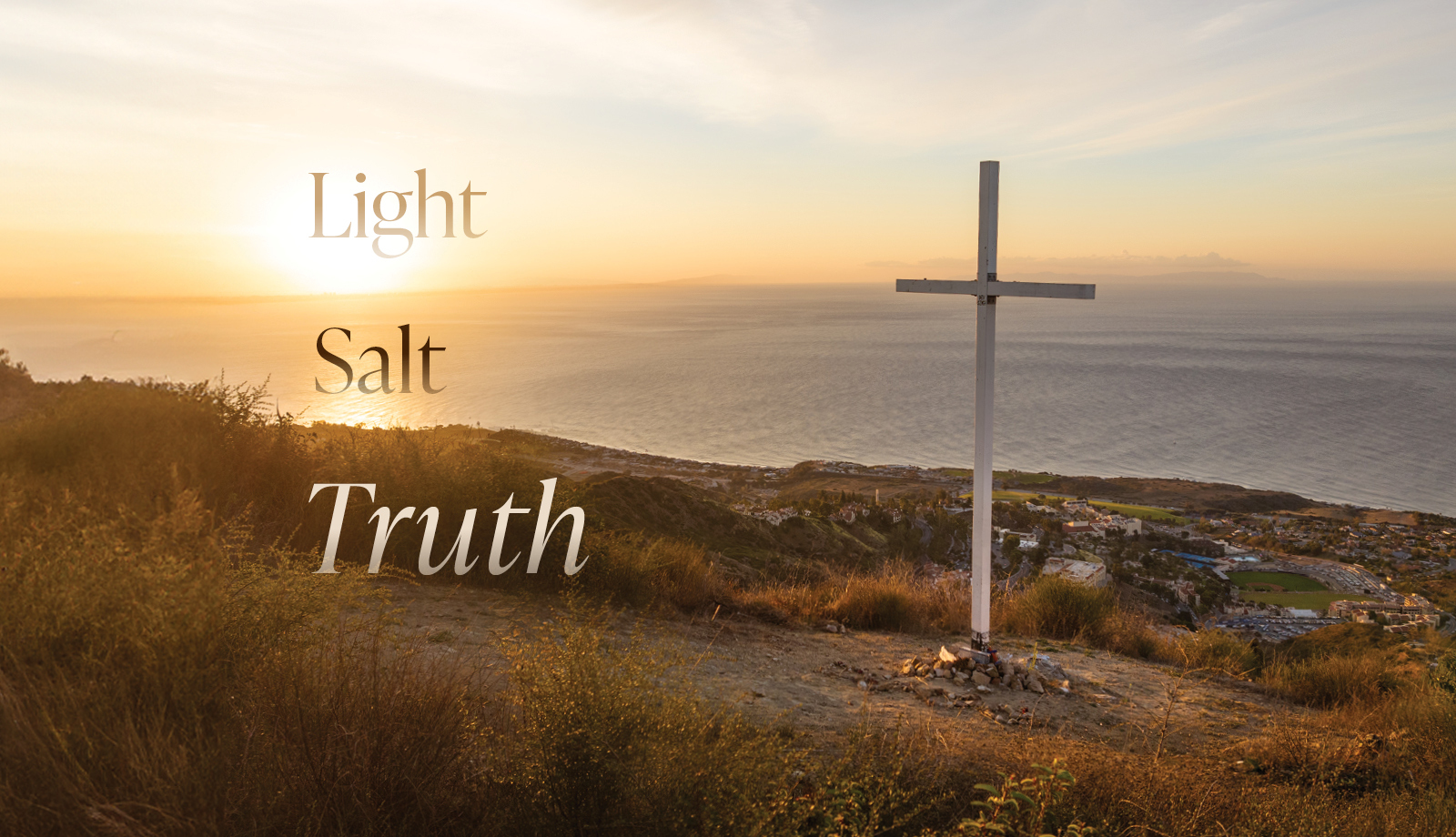 Light Salt Truth President's Report 2023