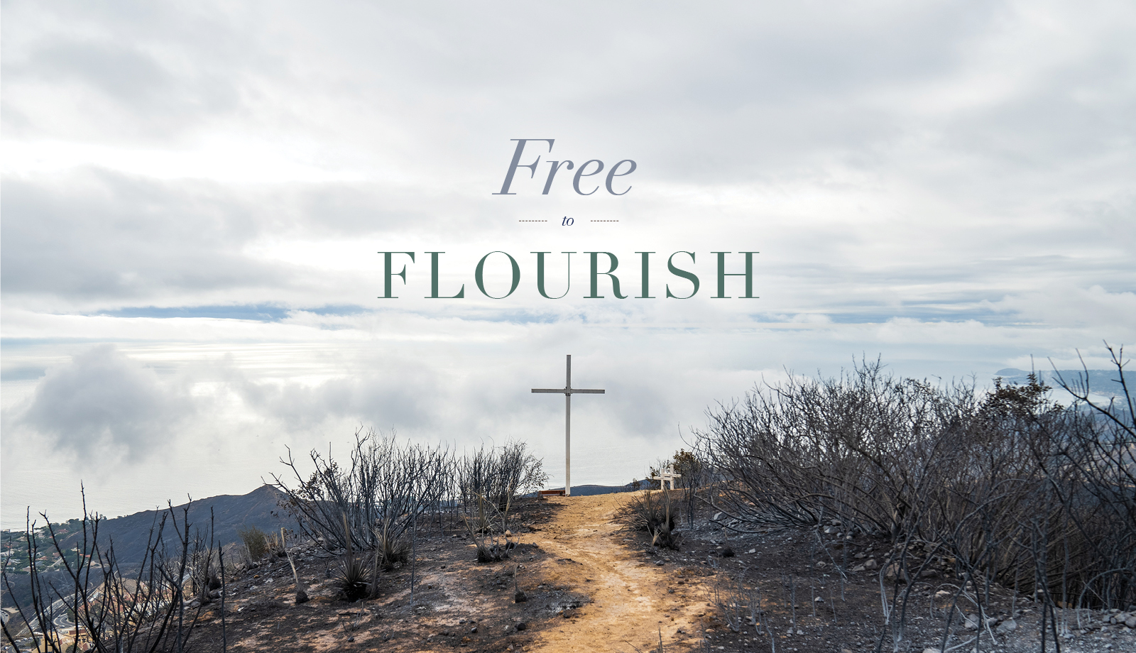 Free to FLOURISH President's Report 2024