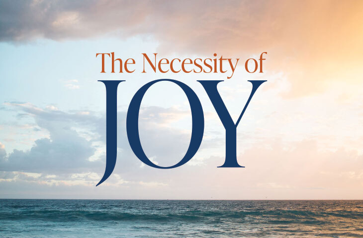 President's Report 2022 - The Necessity of Joy theme image