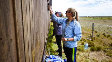 Women cleaning a fence