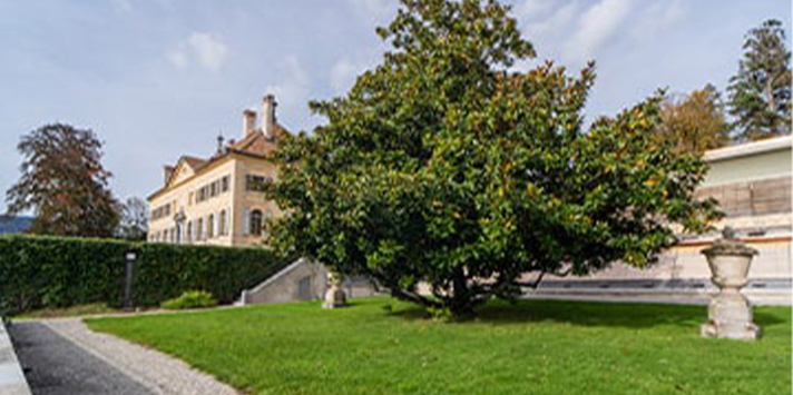 Hanson Family Magnolia Garden
