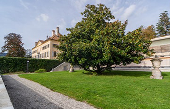 Hanson Family Magnolia Garden