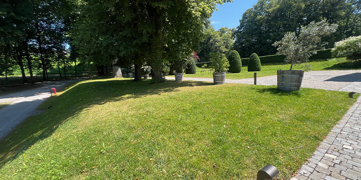 Johnson Family Garden