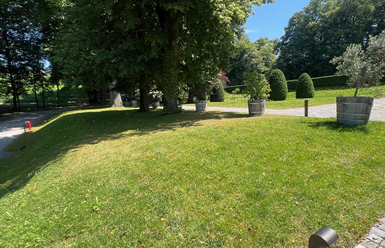 Johnson Family Garden