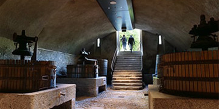 Johnson Family Wine Cave