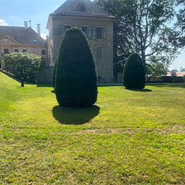 Johnson Family Garden
