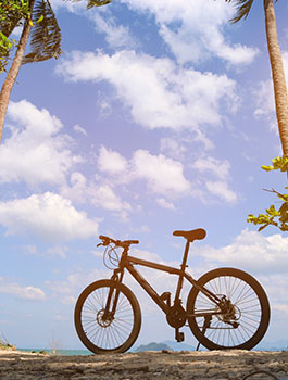 bike between palm trees