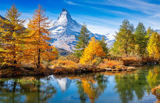 Global Family Office Summit