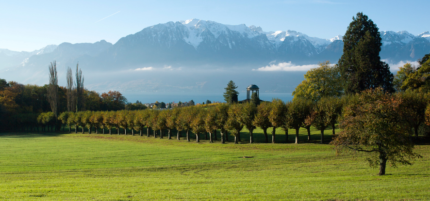 Chateau overview