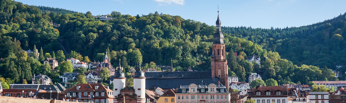 Heidelberg city view