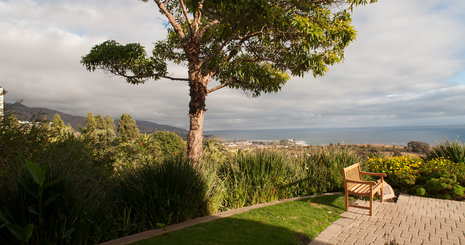 Tree and bench - Pepperdine University