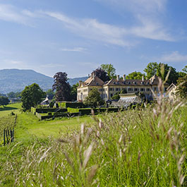 Château d'Hauteville farmland