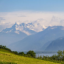 Château d'Hauteville Alps and Lake Geneva view