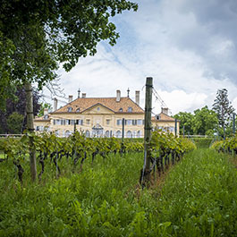Château d'Hauteville vineyard and farmland