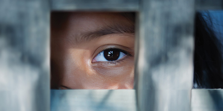 Child looking through a cage