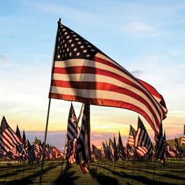 Waves of Flags