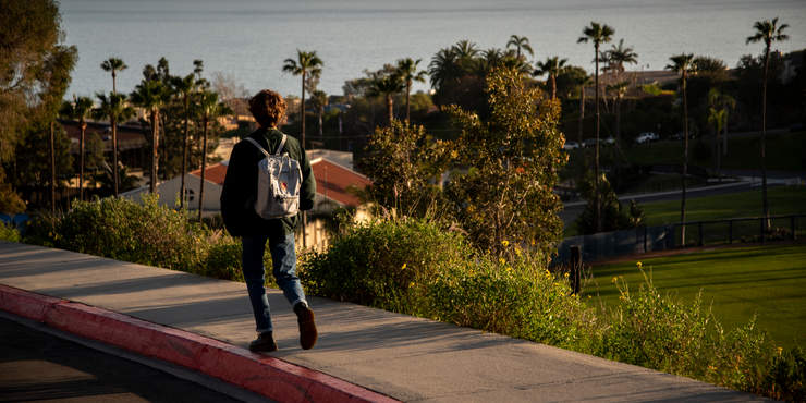 Back of male student walking on the Malibu campus overlooking a view of the ocean and palm trees