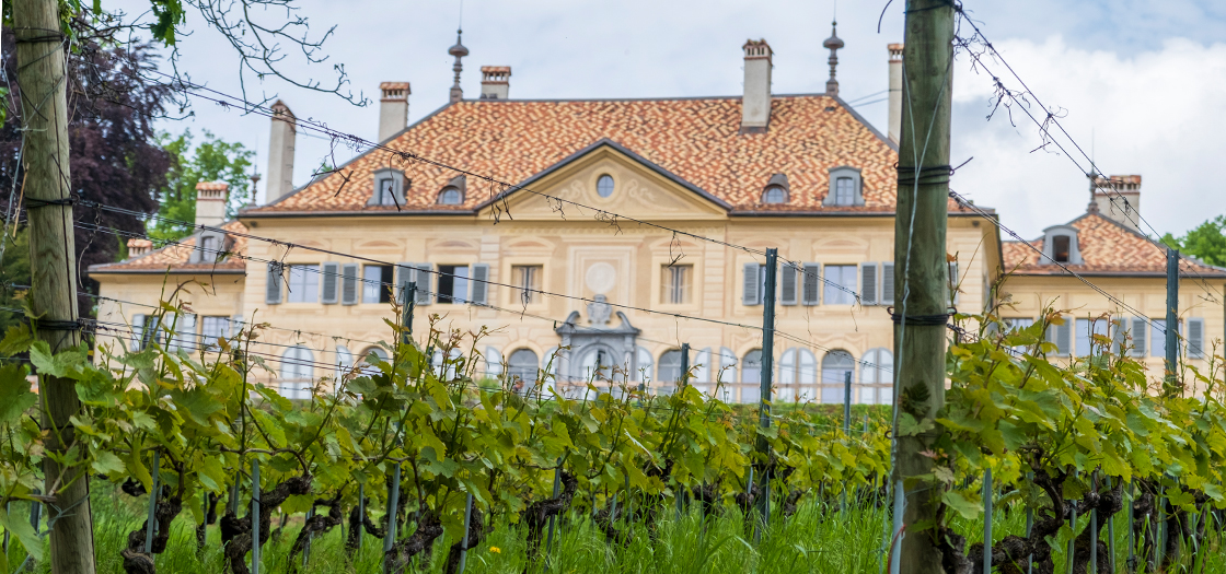 Centuries-old vineyards are currently managed by the Obrist winery to produce a signature white, the Château d’Hauteville Grand Cru, and a signature red, the Château d’Hauteville Grand Cru Rouge.