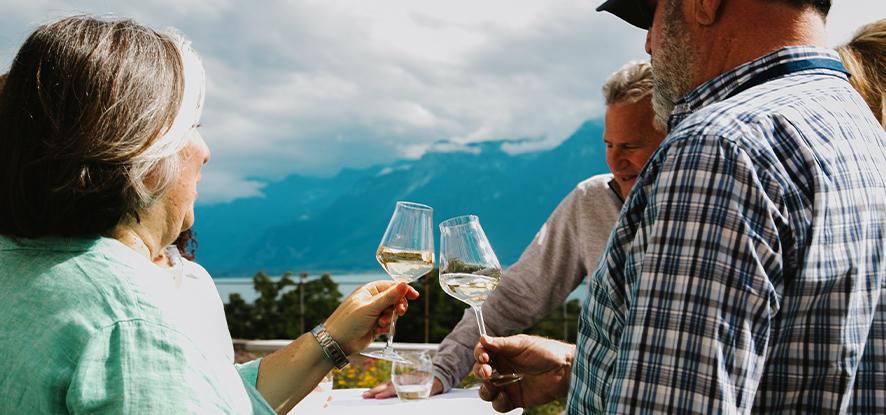 Two adults making a toast