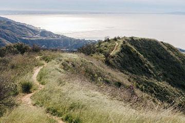 hike path with native plants