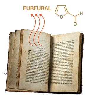 The Smell of Old Books - Pepperdine Magazine