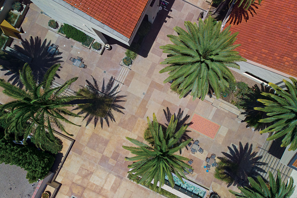 Gregg G. Juarez Palm Courtyard - Pepperdine Magazine