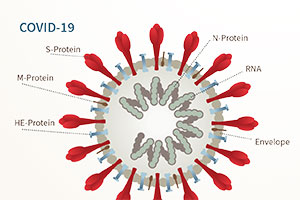 The Promise of mRNA Vaccines - Pepperdine Magazine