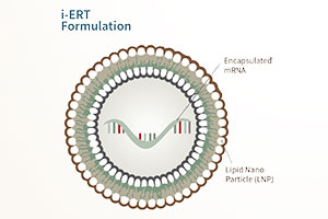 The Promise of mRNA Vaccines - Pepperdine Magazine