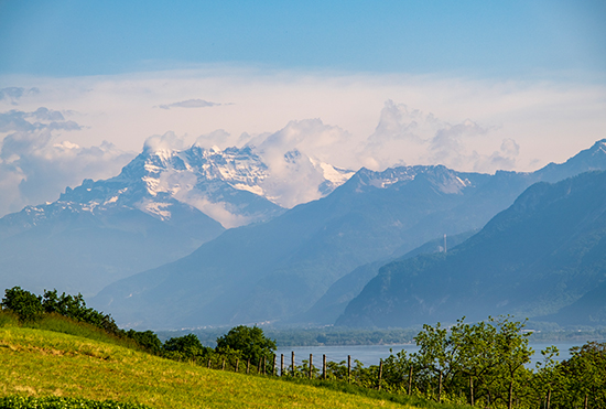 Campus view of Lake Geneva and the Alps