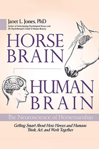 Horse Brain Human Brain Book Cover - Pepperdine Magazine