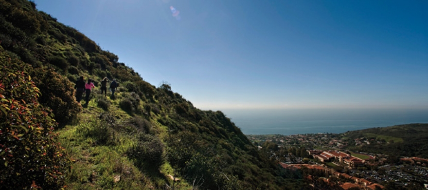 Malibu chaparral - Pepperdine Magazine