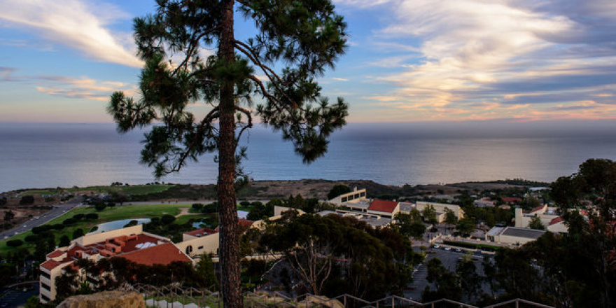 Pepperdine University