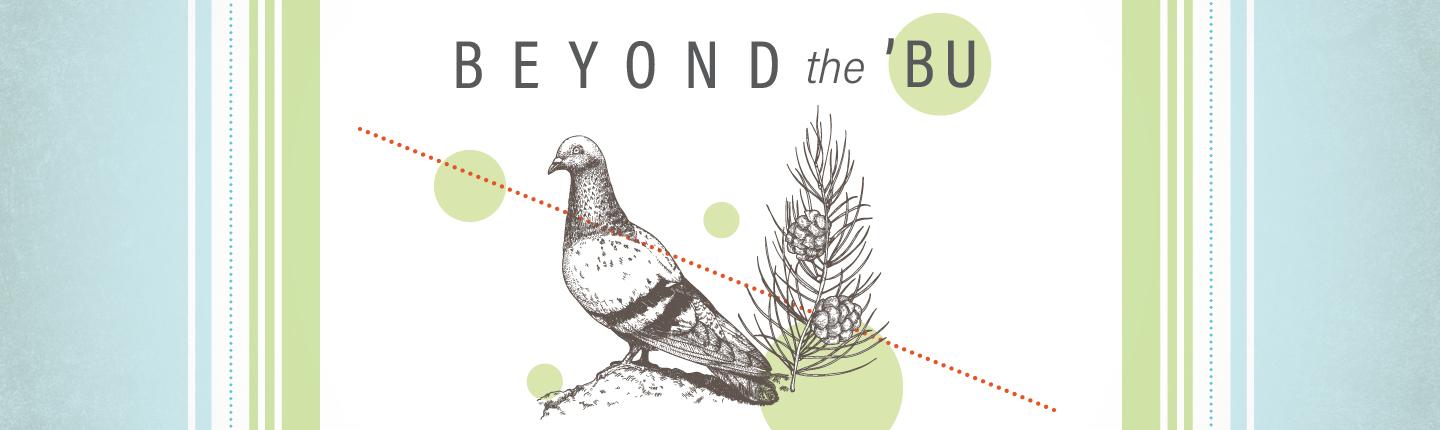 Beyond the 'Bu