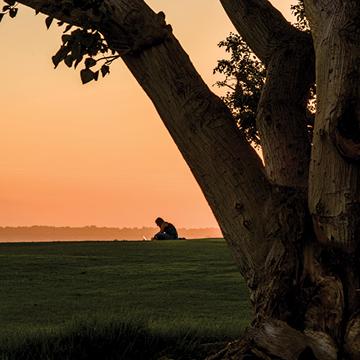 reading at sunset