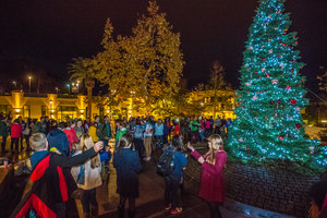 Christmas Tree Lighting, 2014