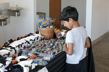 A child looking at toys