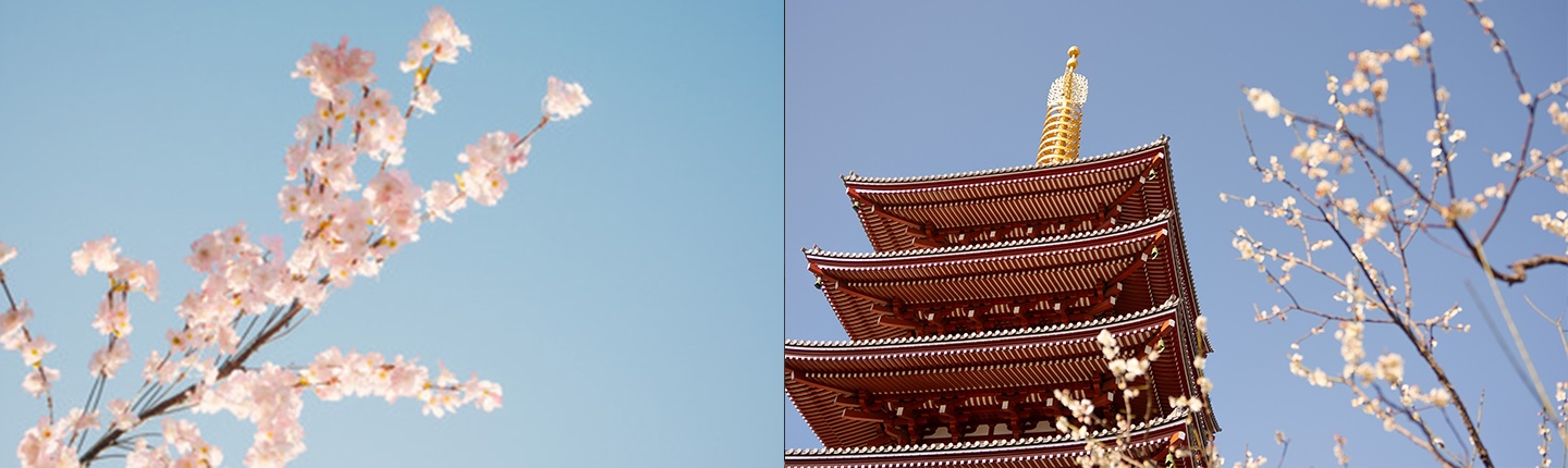 Scenes of Japan