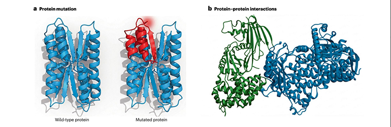 figure-from-nature-nephology.jpg