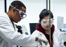 Students collaborate in the lab
