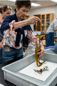 Attendees created their own pressed samples