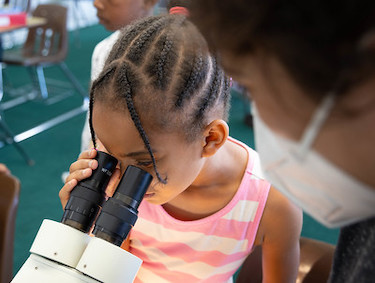 Elementary student looking into microscope.