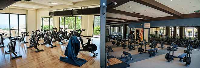 Mountain Gym spaces