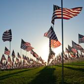 Waves of Flags
